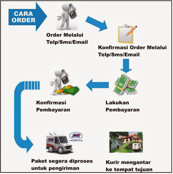 cara order obat asam urat