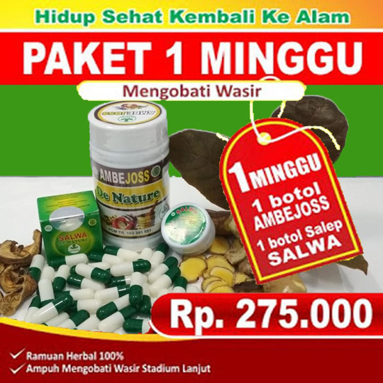  Obat Wasir 